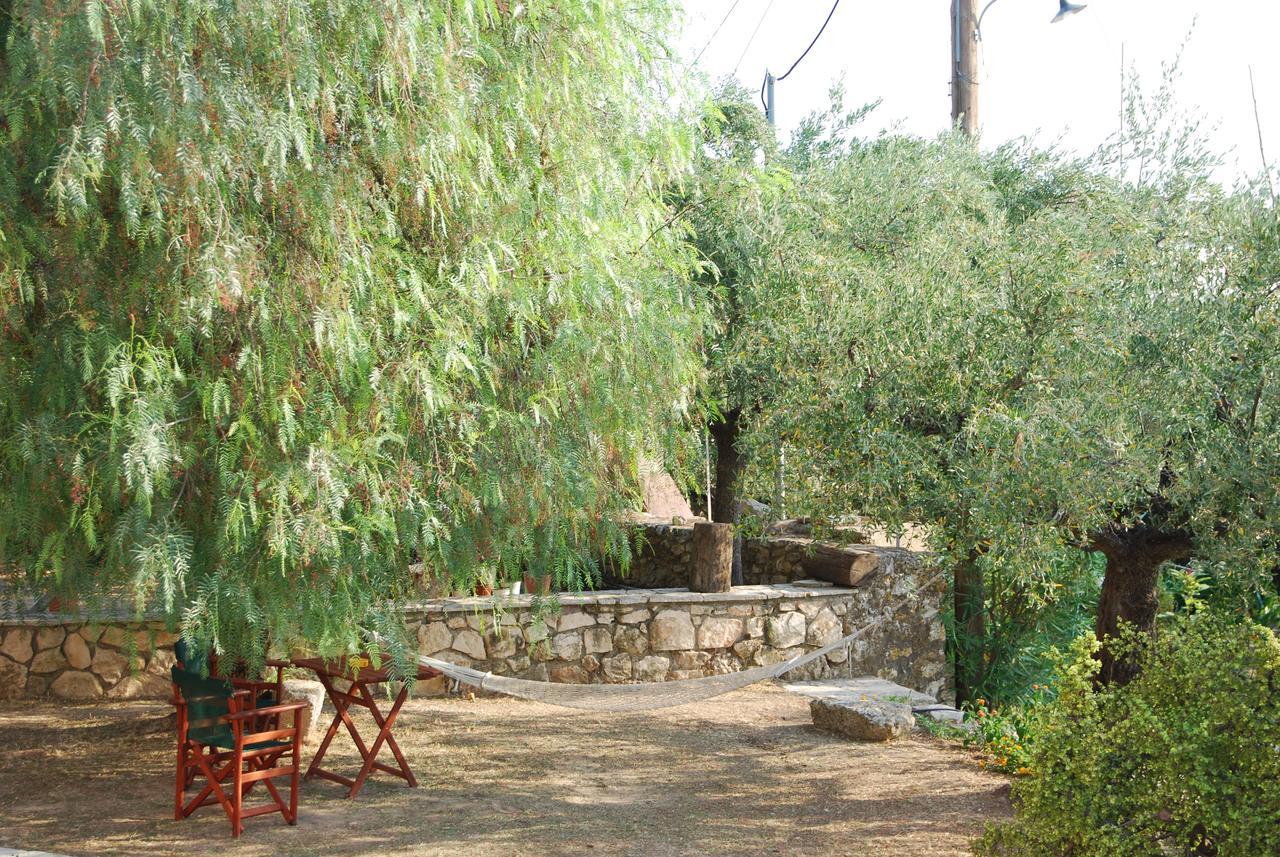 Anatoli Labreon Agia Marina (Zakynthos) Exterior foto