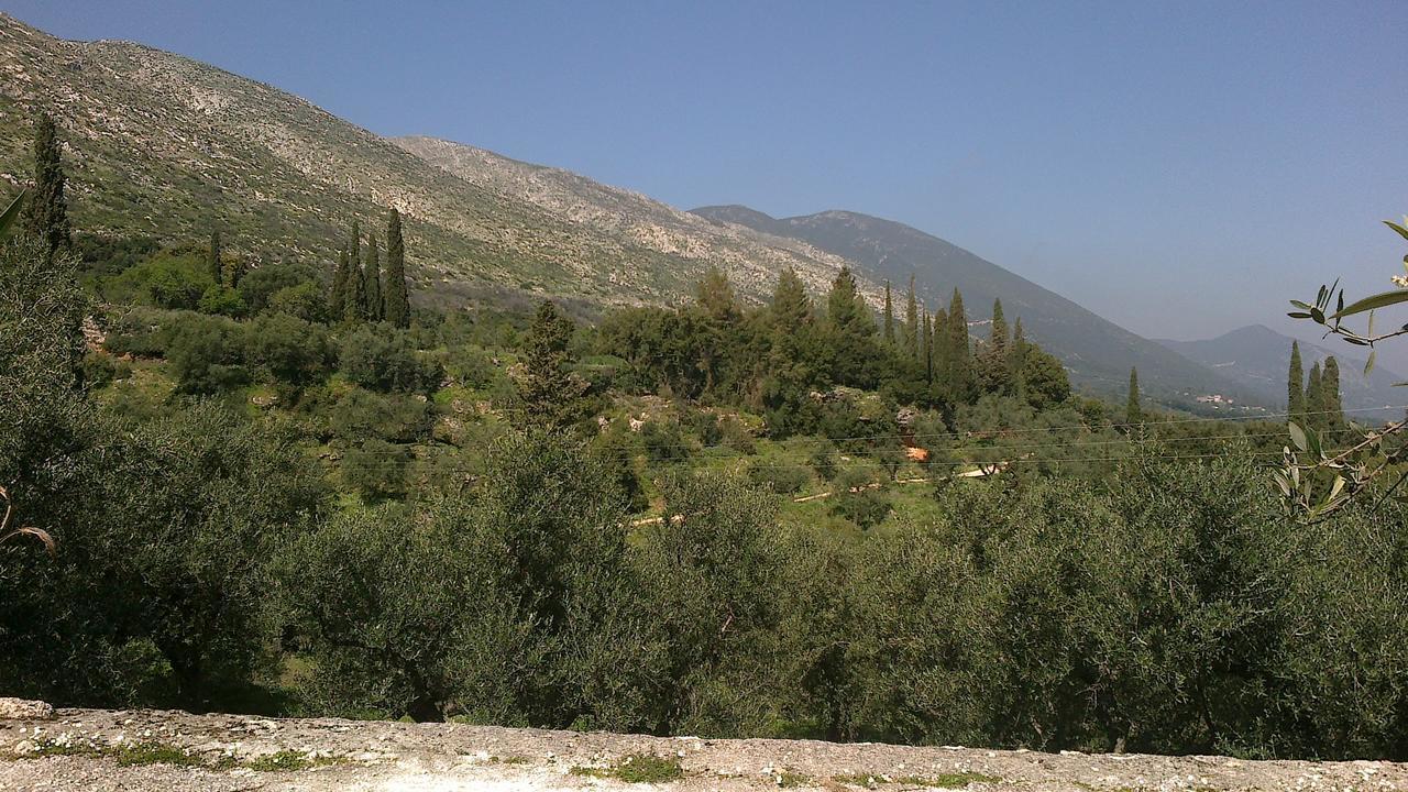 Anatoli Labreon Agia Marina (Zakynthos) Exterior foto