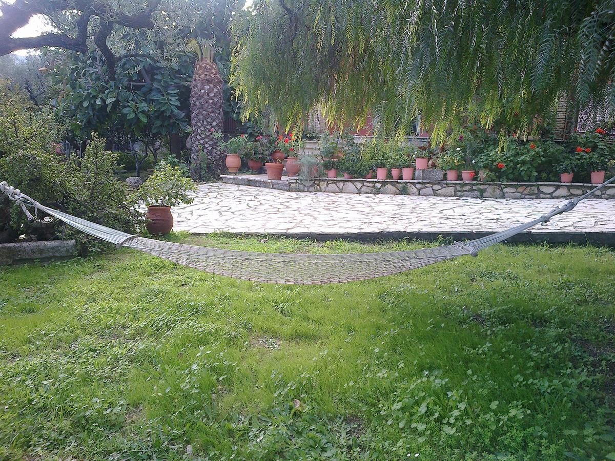 Anatoli Labreon Agia Marina (Zakynthos) Exterior foto
