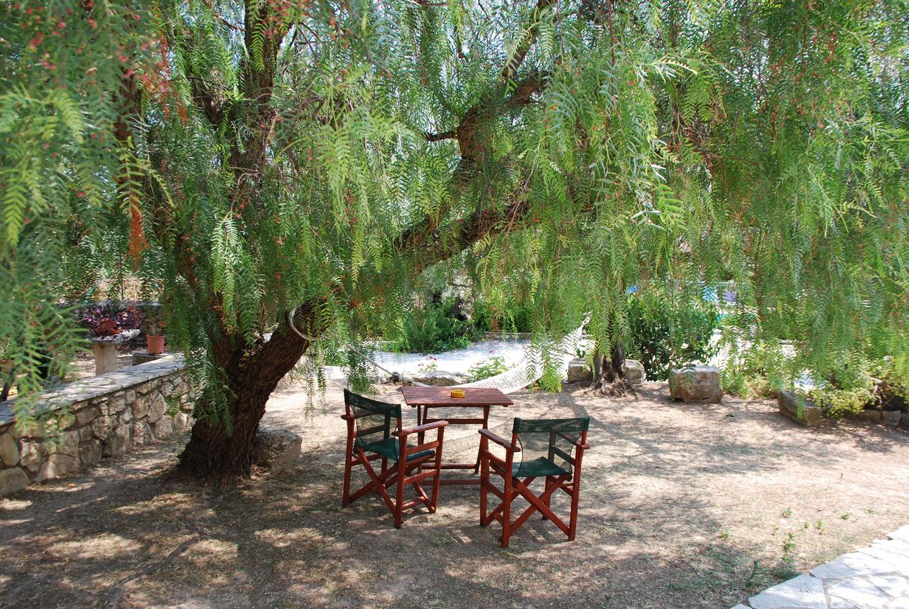 Anatoli Labreon Agia Marina (Zakynthos) Exterior foto